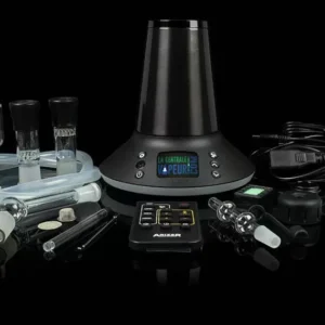 photo 2021 09 30 19 42 11 arrondis